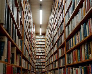 Tall shelves filled with diverse books